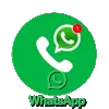 Whatsapp Alphaslot88